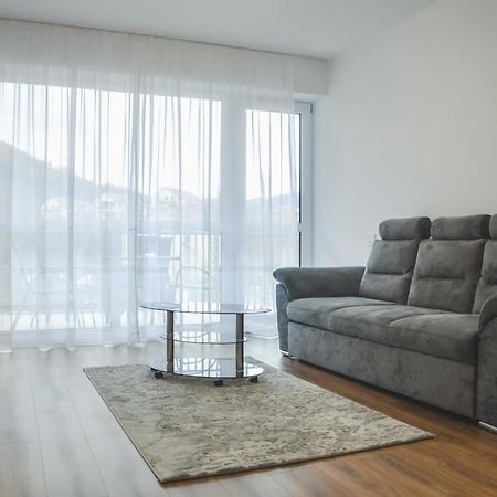 Silver Apartment Sinaia Extérieur photo